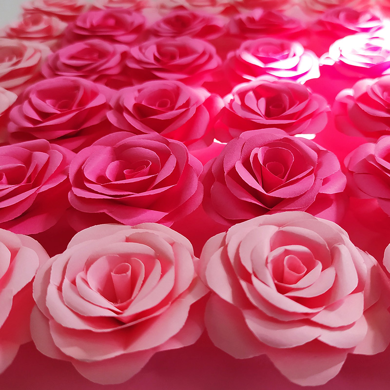 Pink Paper Roses